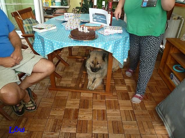 Warten auf die Torte - 3.9.2016